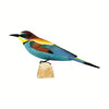 Biätare /  European Bee-eater