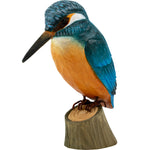 Kungsfiskare  / Kingfisher